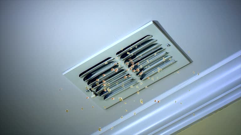 Best Affordable Duct Cleaning Services  in Racend, LA