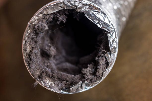 Ductwork Cleaning Services in Raceland, LA