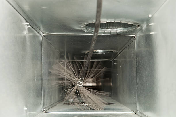 Air Duct Mold Removal in Raceland, LA
