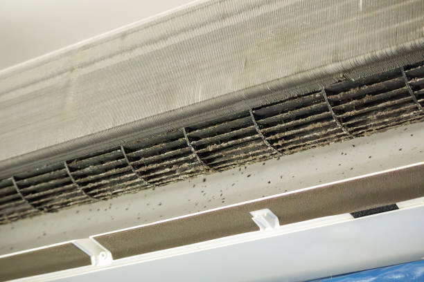 Best Air Duct Cleaning Near Me  in Racend, LA